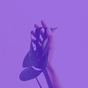 一尘不染吃印象数