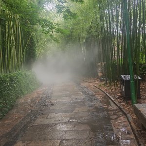 江南烟雨