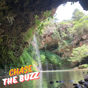 Chase the Buzz