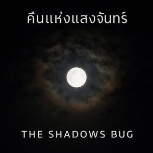 คืนแห่งแสงจันทร์