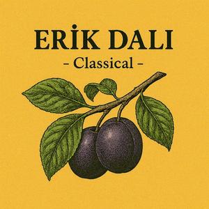 Erik Dalı (Classical)