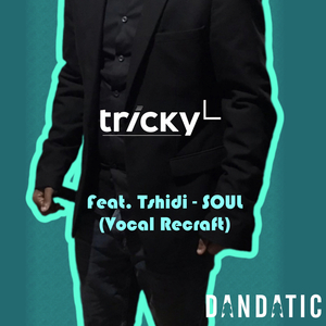 Soul (Dandatic Vocal Recraft)