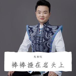 棒棒捶在岩头上