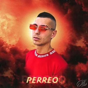Perreo