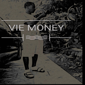 Vie money