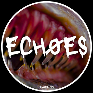 Echoes (Original Mix)