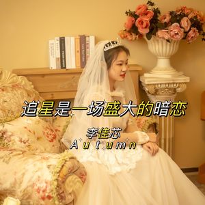 追星是一场盛大的暗恋 伴奏