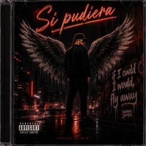 SI PUDIERA