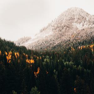 Will Ye Go Lassie Go