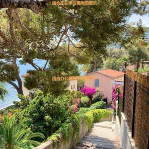 适合读优秀的音乐