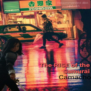 THE RISE OF THE SAMURAI