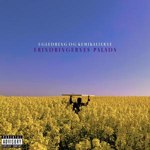 AFSTED! (feat. Yonas Meshaima)