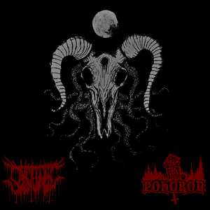 Where Creeping Worms Trail Slowly As Remorse