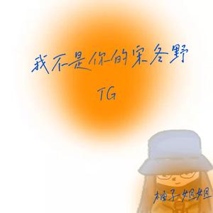 我不是你的宋冬野