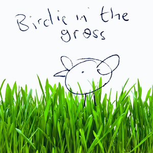 Birdie in the Grass (feat. Antonio Forcione)