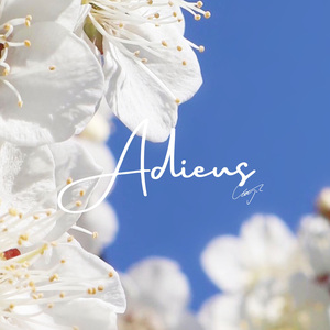 Adieus