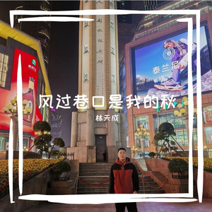 风过巷口是我的秋
