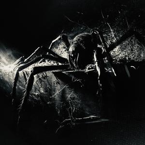 DEVOUR MY DEMONS (REMIX)