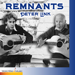 Cardinal in the Snow