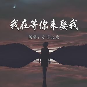 我在等你来娶我