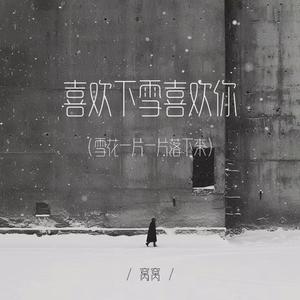 喜欢下雪喜欢你 (雪花一片一片落下来)（伴奏）