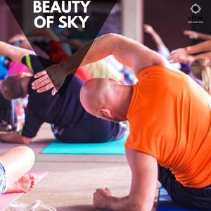 Pacifist Peaceful Spirits