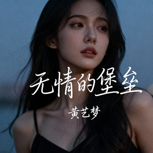 无情的堡垒(释怀版)