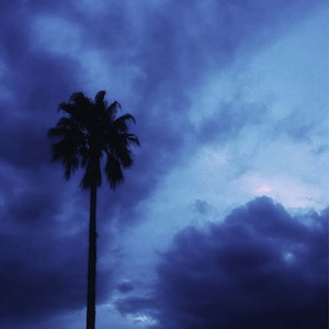 猪猪侠我睡不着