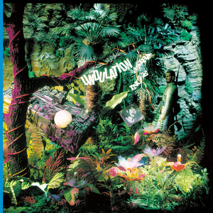 THE BEAT OF POLLUTION (Undulation Version)