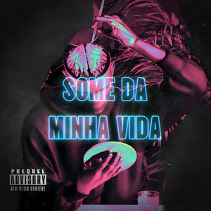 SOME DA MINHA VIDA