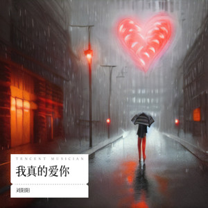 我真的爱你 (DJ默涵版)