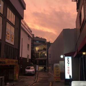 Tayler Prouse-枯0.4（宇智波佐助 remix）