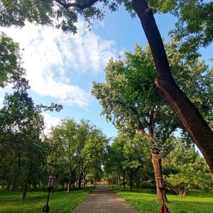 逆风的方向