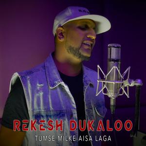 Tumse Milke Aisa Laga