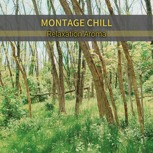 Midnight Owl's Melody