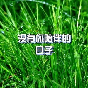 我寂寞寂寞就好