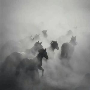 Tiger（加洛Remix）