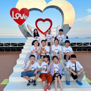 向阳花（新版）