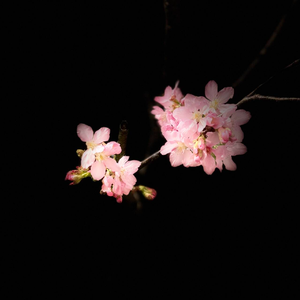 焕（戏腔片段）