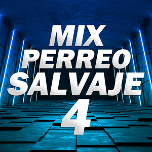 Mix Perreo Salvaje 4