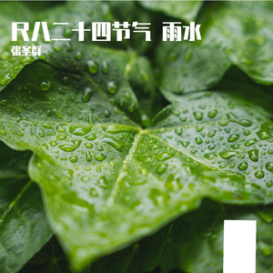 尺八二十四节气 雨水