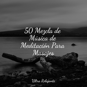 Los Caminos De La Vida