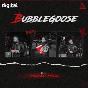 Bubblegoose