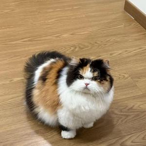 all girls are the same (slowed)