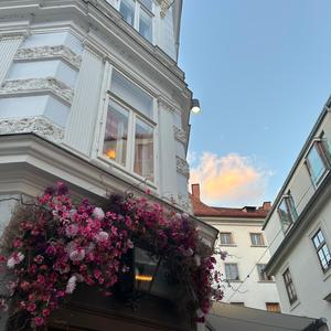 sommerlove