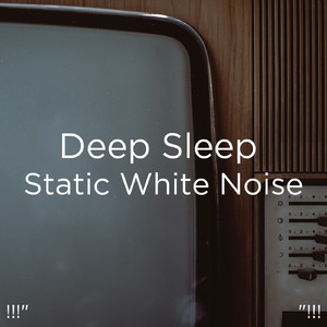 잠자는 팬 소리