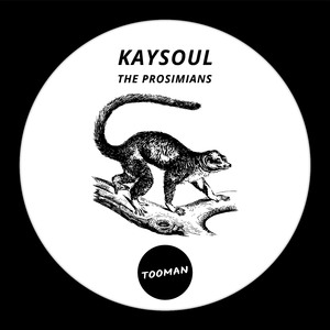 The Prosimians (Dark Art Dub)