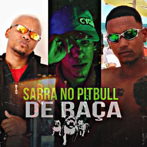 Sarra no Pitbull de Raça