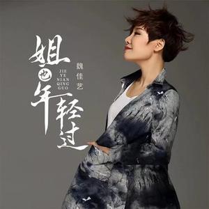 姐也年轻过（DJ版）