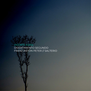 Divertimiento segundo für Salterio: II. Adagio